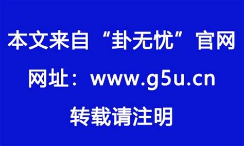 九紫离火运|九紫离火运（2024